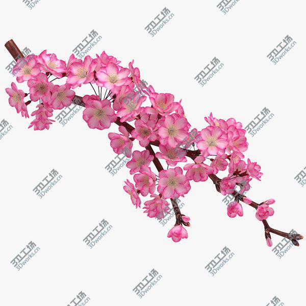 images/goods_img/20210312/3D Realistic Sakura Branch model/1.jpg